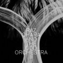 Raz Ohara & The Odd Orchestra - The Burning (Desire)