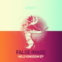 False Image - Anteater