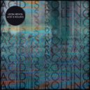 Leon Revol - Acid Is Rolling (Johannes Albert Remix)