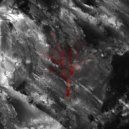 ANVER - Наливай ()