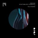 Felix Taveras - Schattenblume