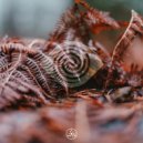 Spectrum Vision - Tiberian Waves