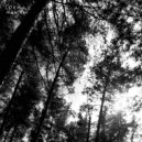 C21H23NO5 - Солнце мертвых ()