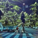 6MUTA KILLAZ - DROP. ME