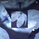 Arley & Julene - Hindsight