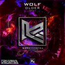 Wolf - Older