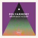 Polyarmory feat. Michael J Collins - Like Flies To Honey