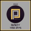Blakey - These Day\'s (Original Vocal Club Mix)