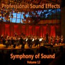 Professional Sound Effects Group & Milano Philharmonic & Seraphina Jane & The Music Man - Symphony of Sound Professional Sound Effects 5117