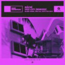 MÂCHÉ - Vice City (Blank Sense Extended Remix)