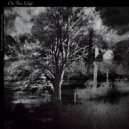 the limit of human understanding - Night Of Falling Stars