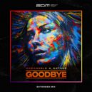 MosAngels & Natune - Goodbye
