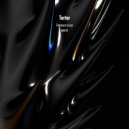 Tarter - Immersion (Original Mix)