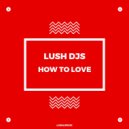 Lush Djs - How To Love (Original Mix)