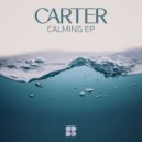 Carter - F432