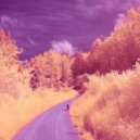 Glenn Morrison - Circles