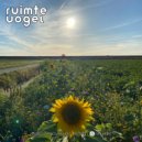 Ruimte Vogel - Nothing