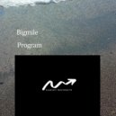 Bigmile - Program (Original Mix)