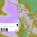 BÄTO - Corpulence