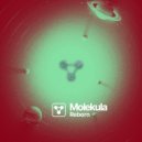 Molekula - Reborn (Original Mix)