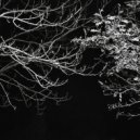 lucs6x - твоя красота об асфальт и вдребезги ()