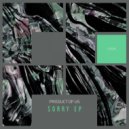 Product Of Us - Sorry (Extended Mix)