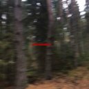 собакой сдохъ - не промаазал ()