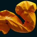 incent Vossen - Venus