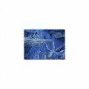 Mindfulness Healing Sleep BGM Project - Cambrian and Rest (Sleep BGM)