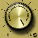 Rawkey - Here Comes That Sound