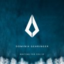Dominik Gehringer - Waiting For You (Extended Mix)