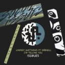 Lindsey Matthews, Dárnell - It\'s A Vibe (Original Mix)