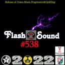 SVnagel ( LV ) - Flash Sound #538 by ()