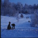 Viktor Vos - P.L.U.S