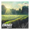 Endaii - Remote