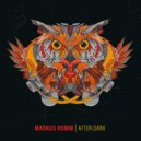 Markus Homm - I Wish