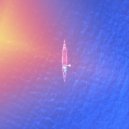 dirty - wild boar ()