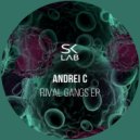 Andrei C - Chupa Lo Smoothie (Original Mix)