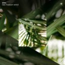 Arley - Neis (HAELIUM Extended Remix)