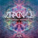 Aracno - Psychedelic Experience
