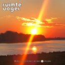 Ruimte Vogel - In The Matrix