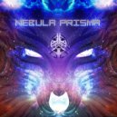 Cyborgpunk - The Solar Beings of The Eye = dmt