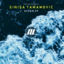 Sinisa Tamamovic - Ocean