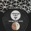 Betagamma - Polygonic