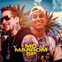 Dj Rhuivo & MC Marrom SP - Passei de Tesla