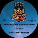 Joe Ventura & Todd Terry & Sulene Fleming - I'll Wait (feat. Sulene Fleming)