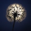 Hishinar - Седая ночь ()