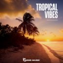 Various Artists - Tropical vibes (Female DJ Miss Smile continuous mix)