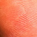 well & ok then. - Antennae - Epilogue ()