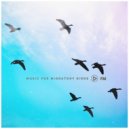 Angled Sideways - Subzero